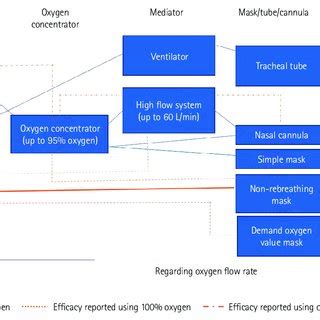 Inhalation Process 的图像结果