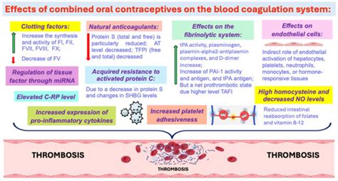 Combined Oral Contraceptives and the Risk of Thrombosis
