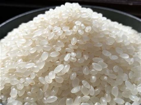 粳米是凉性还是热性 粳米和糯米的区别_粳米_99养生堂