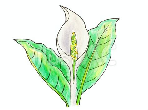 Image result for JavaScript Modules