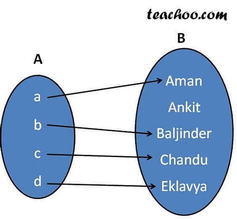 Image result for Function Science Examples