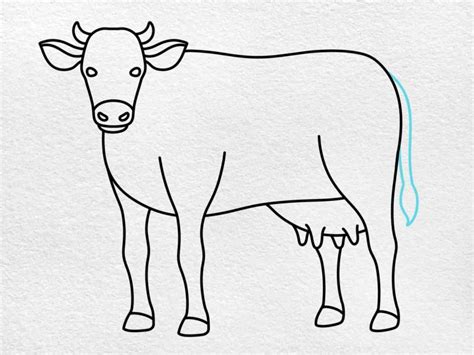 Cow Drawing Tutorial 的图像结果