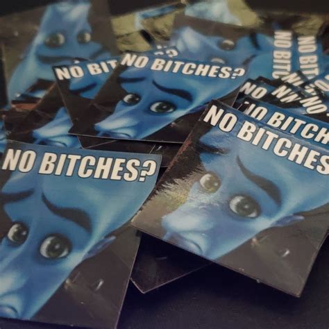 Megamind NO BITCHES? Sticker – Nyan Dynamics