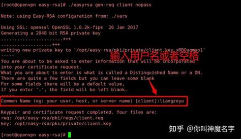 Easy-Rsa OpenVPN 的图像结果