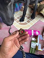 Buy Vivaldis Endewor Dewormer for Dogs and Cats, Natural Enzyme and ...