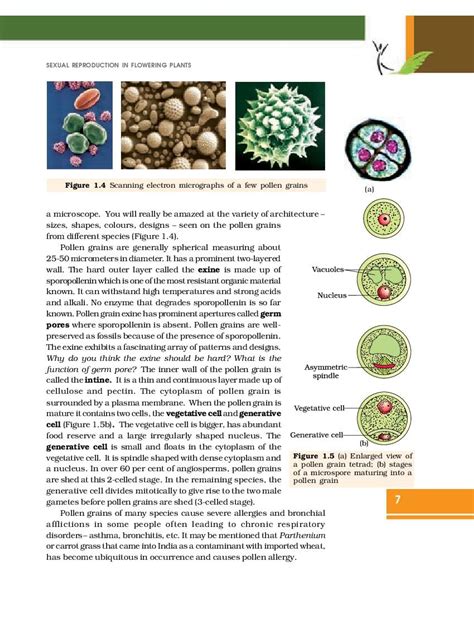 Image result for Bio Chapter 2 Class 12