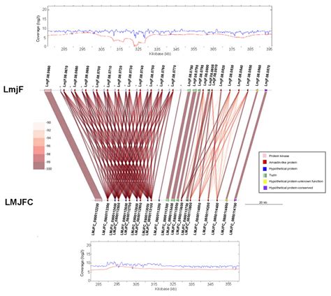 Gene Annotation and Transcriptome Delineation on a De Novo Genome ...