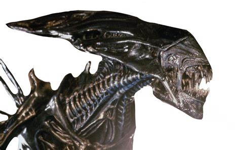 Alien Queen Brighton 的图像结果