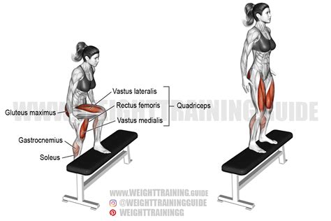 Image result for Step UPS Exercise