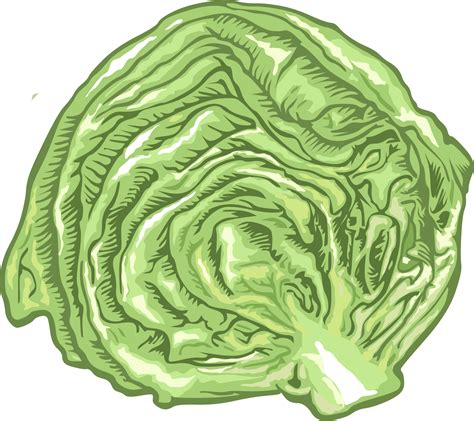 Lettuce png graphic clipart design 20962876 PNG