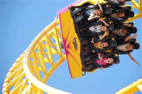 Adventure Island Amusement Park 的图像结果