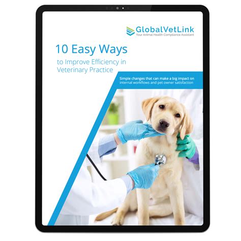 10 Ways to Improve Practice Efficiency | GlobalVetLink