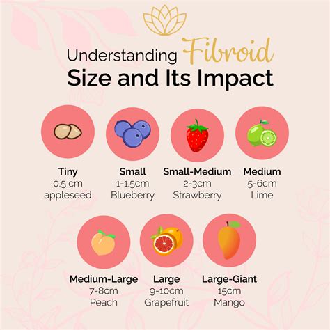 Understanding Fibroid Size and Its Impact - Fibroid Treatment Clinic