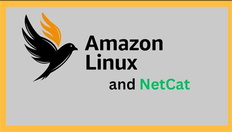 Image result for Linux Apt Install Netcat