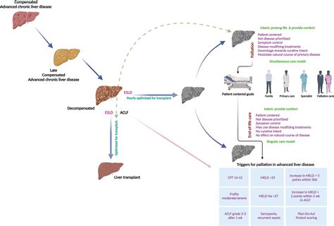 Palliative Care for Patients with End-Stage Liver Disease - Journal of Clinical and Experimental ...
