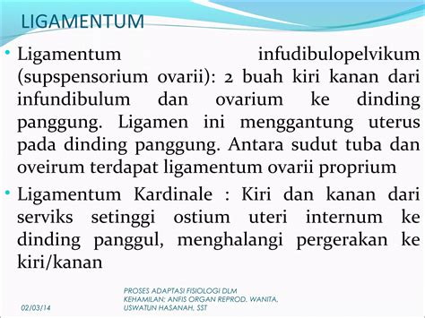 1.anatomi fisiologi organ repro. wanita; adaptasi fisiologi dlm ...
