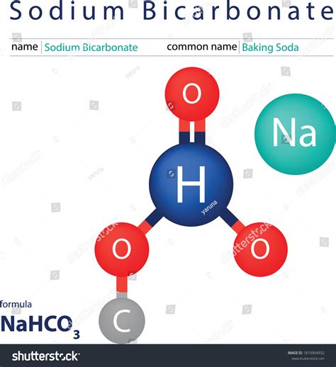 Sodium Bicarbonate Model