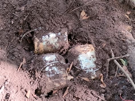 Press Release:Press Information Bureau