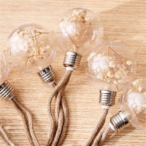 Buy Serena Amora Decorative String Lights - 8 Bulbs from Home Centre at ...