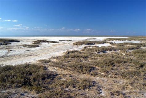 Вода озера эльтон 4 буквы