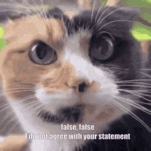Image result for Full-Stack Web Developement Python Brilliant