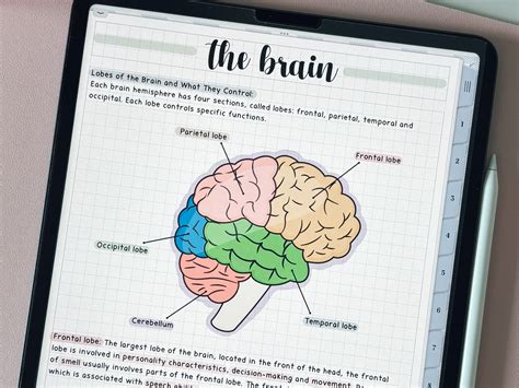 Image result for Beautiful Digital Notes Not Ability