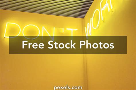 Ceiling Lining 的图像结果