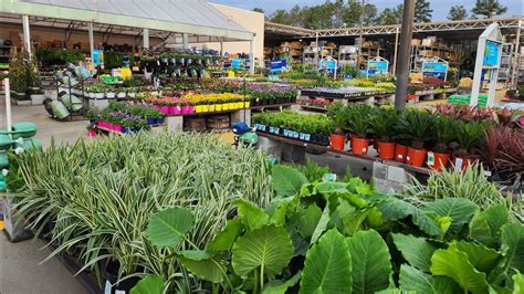 Image result for Lowe's Flower Garden