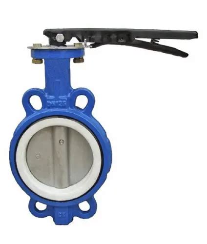 PTFE Butterfly Valve Manufacturer in MP