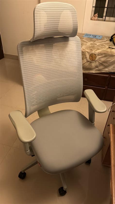 DROGO Ergonomic Office Chair for Work from Home, High Back Computer ...