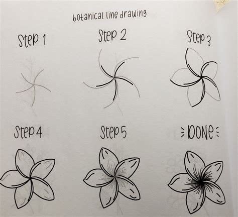Image result for Drawing Tutorial for Flower
