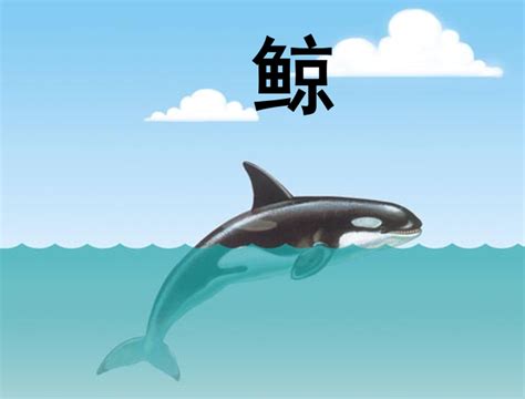 一鲸落万物生艺术字图片免费下载_PNG素材_编号158ix2kgj_图精灵