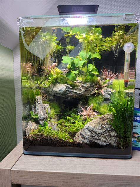 Nano Cube Aquarium nel 2025