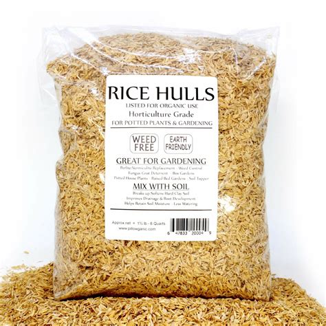 Rice Hulls Paddy Husk, 1 Kg (Yellow) – GreenParadiseLive