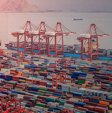 进出口代理公司介绍进出口行业的方式有哪些 - 进口报关 - 上海天鸣国际货物运输代理有限公司