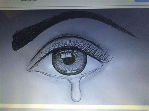 Image result for Basic Beginner Drawings