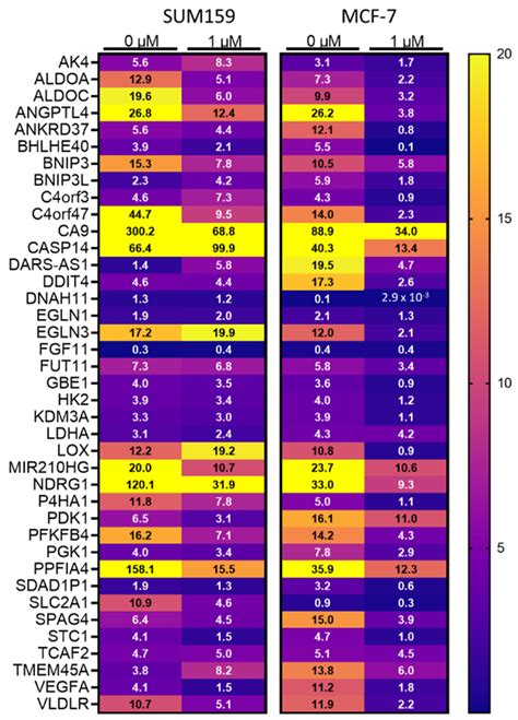 Mebendazole Treatment Disrupts the Transcriptional Activity of Hypoxia ...