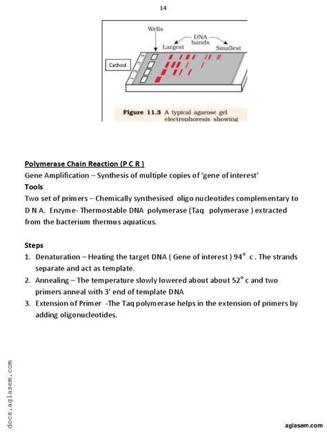 Image result for Bio Botany Class 12 Chapter 2