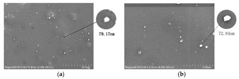 Effects of Processing Conditions and Plasticizing-Reinforcing ...
