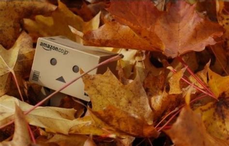 Danbo Box Robot 的图像结果