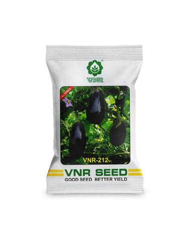 Buy Brinjal Seeds at Best Prices | High Quality Varieties | Upto 60% ...