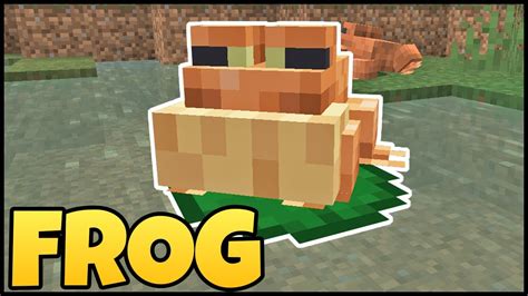 Image result for Minecraft Frogs Animation