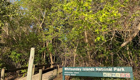 DUGONG-SAWMILL TRACK (2025) All You Need to Know BEFORE You Go (with ...