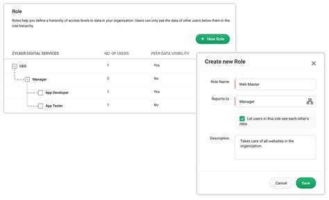 What is a role in Bigin?