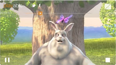 Image result for iOS Video Player