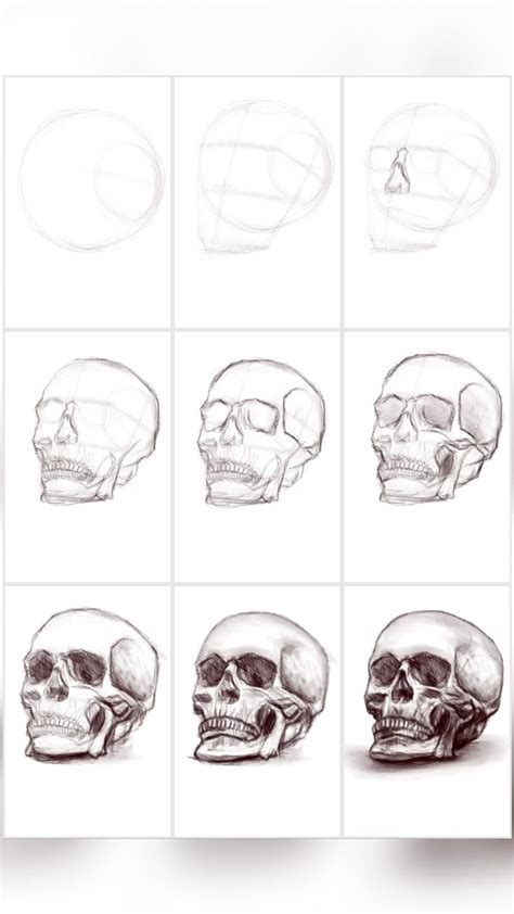 Image result for Skull Drawing Tutorial