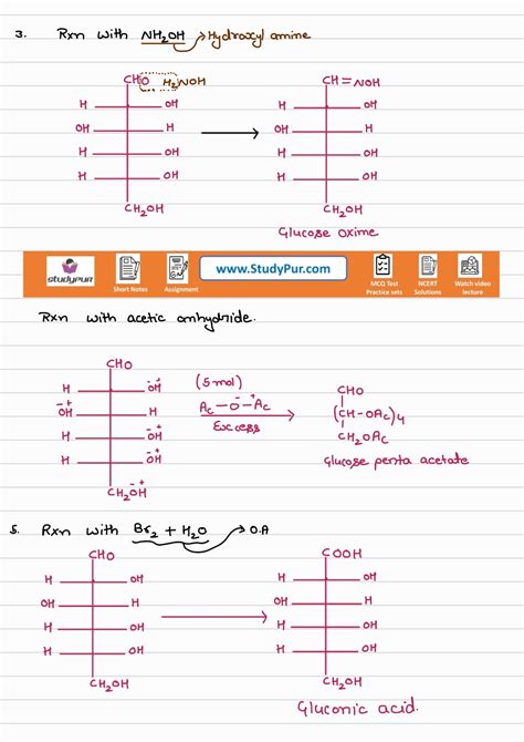 Image result for Biomolecules Class 12th