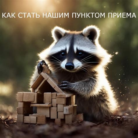 Крышки Енота | Новосибирск 2024 | ВКонтакте
