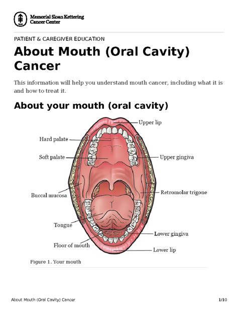Mouth-cancer - Cancer - PATIENT & CAREGIVER EDUCATION About Mouth (Oral ...