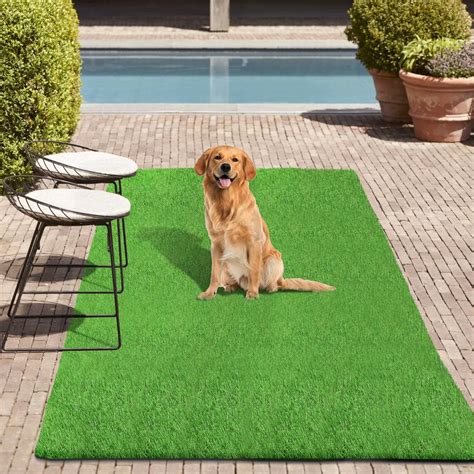 Artificial Grass Rug 4x6 Ft Realistic Indoor Outdoor Rug for Dogs with ...